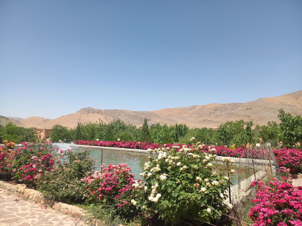 باغ با مجوز گردشگری 10000 متر فروشی