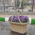 گلدان طرح سبد فایبرگلاس